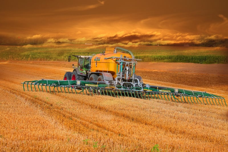 Homemade Fertilizers