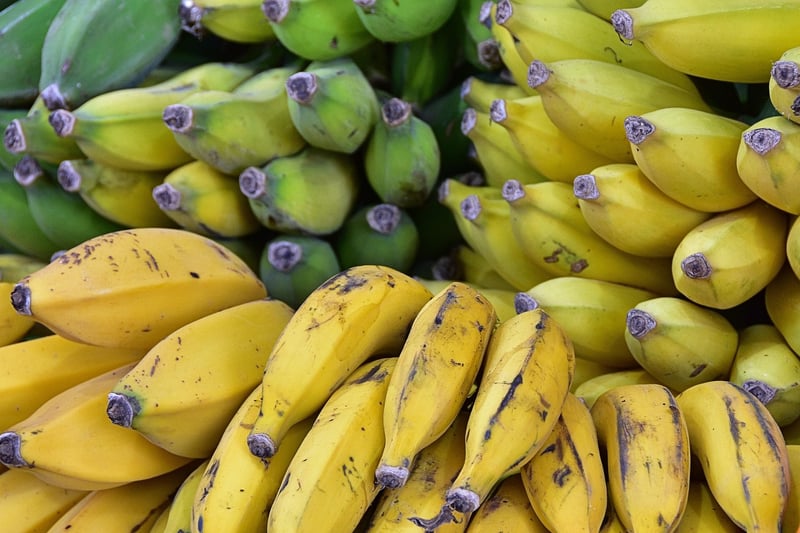Fruit Tree